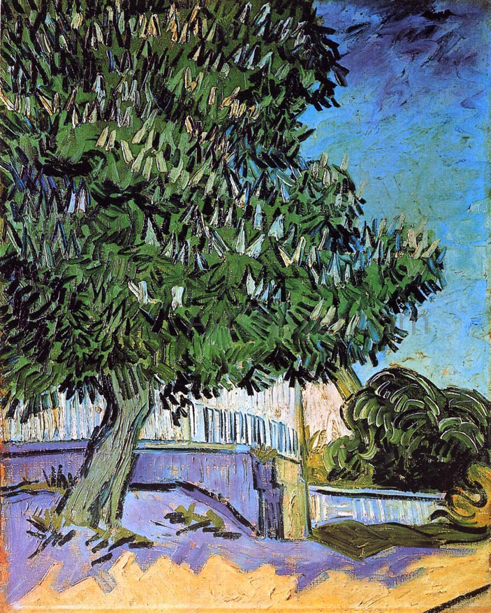 Vincent Van Gogh Chestnut Trees in Bloom - Canvas Print