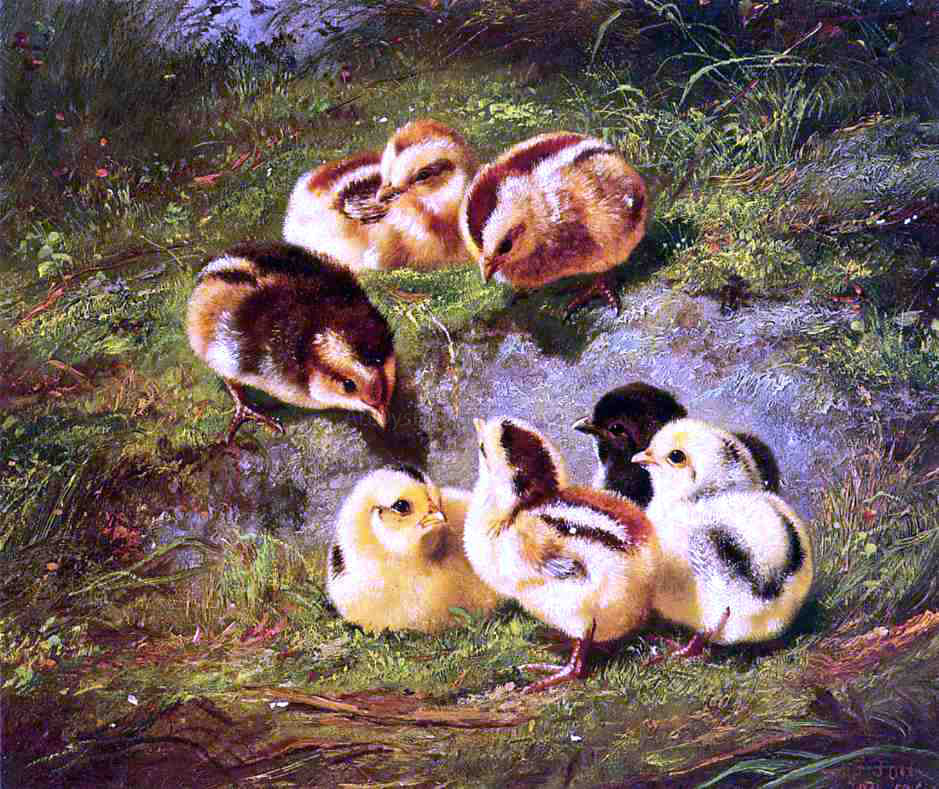Arthur Fitzwilliam Tait Chickens - Canvas Print