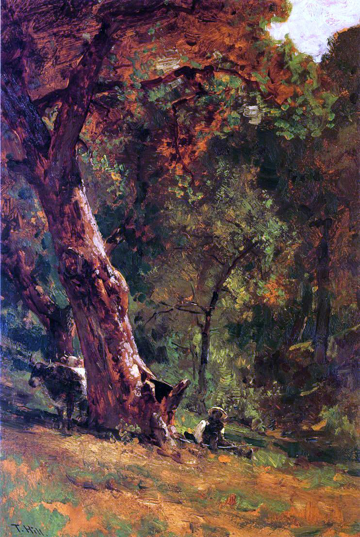 Thomas Hill Chinese Man Tending Cattle - Canvas Print