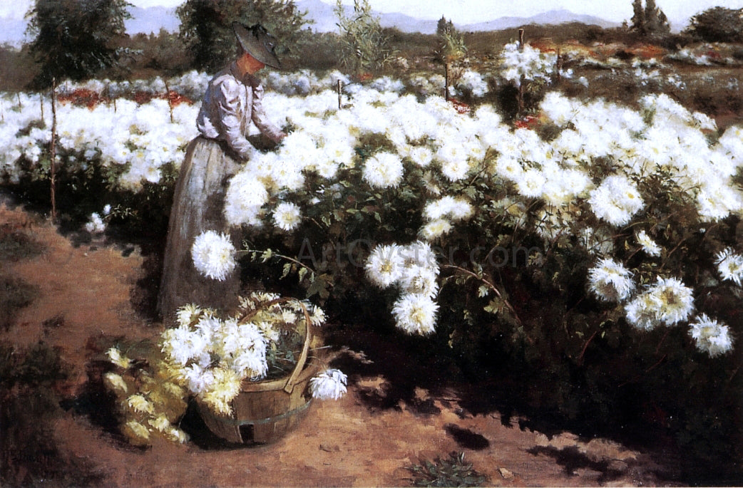 Fannie Eliza Duvall Chrysanthemum Garden in Southern California - Canvas Print