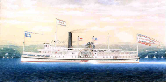 James Bard City of Catskill - Canvas Print