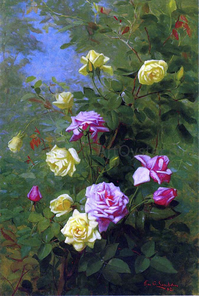 George Cochran Lambdin Climbing Roses - Canvas Print