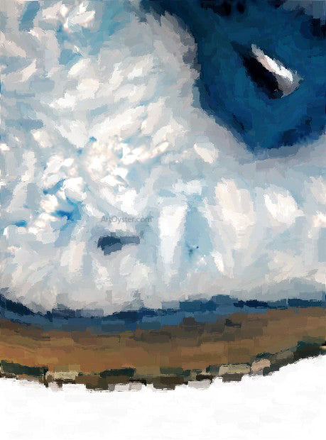 Our Original Collection Cloudy Skies - Canvas Print