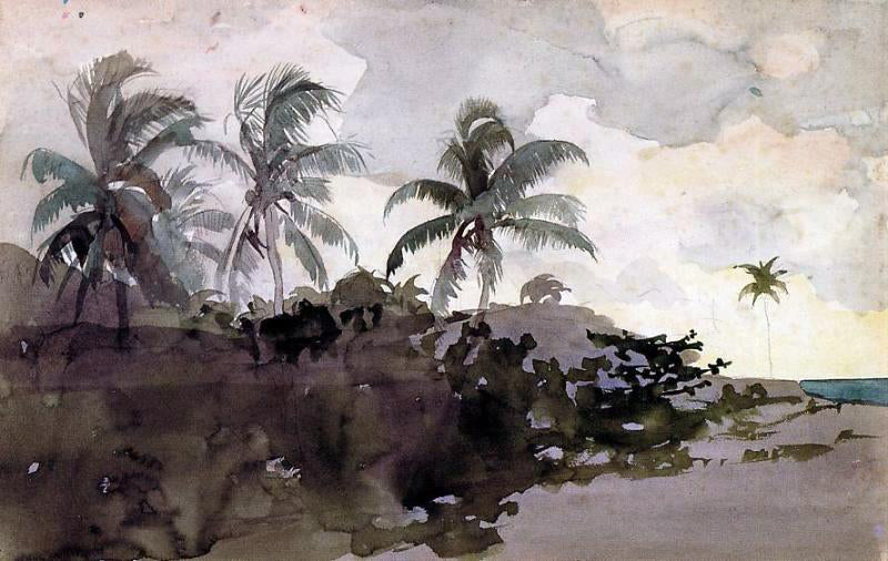 Winslow Homer Coconut Palms - Canvas Print