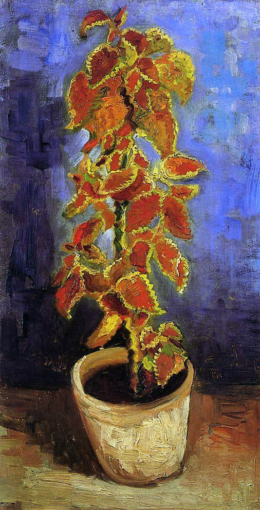 Vincent Van Gogh Coleus Plant in a Flower Pot - Canvas Print
