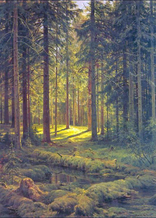 Ivan Ivanovich Shishkin Coniferous Forest, Sunny Day - Canvas Print