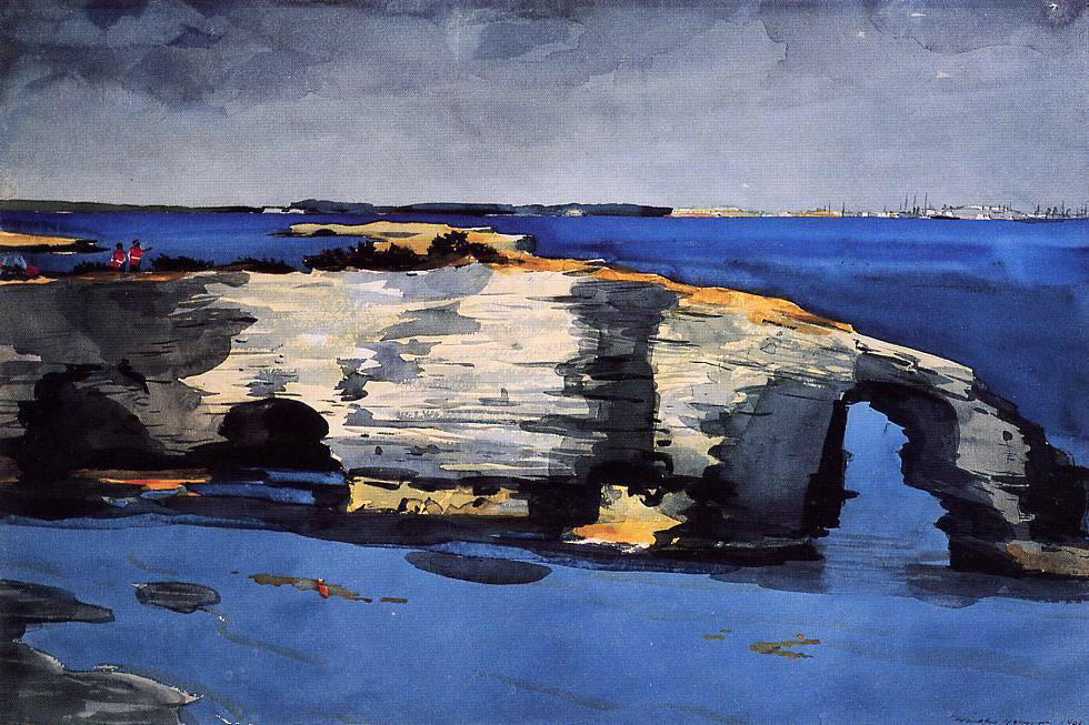 Winslow Homer Coral Formation - Canvas Print