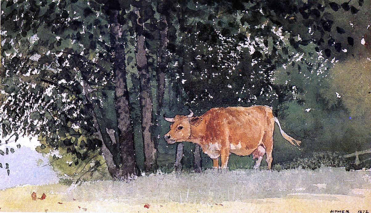 Winslow Homer Cow in Pasture - Canvas Print