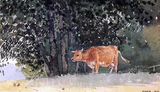 Winslow Homer Cow in Pasture - Canvas Print