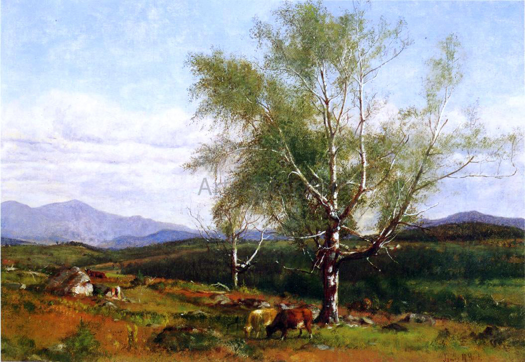 James McDougal Hart Cows Grazing in a Valley - Canvas Print
