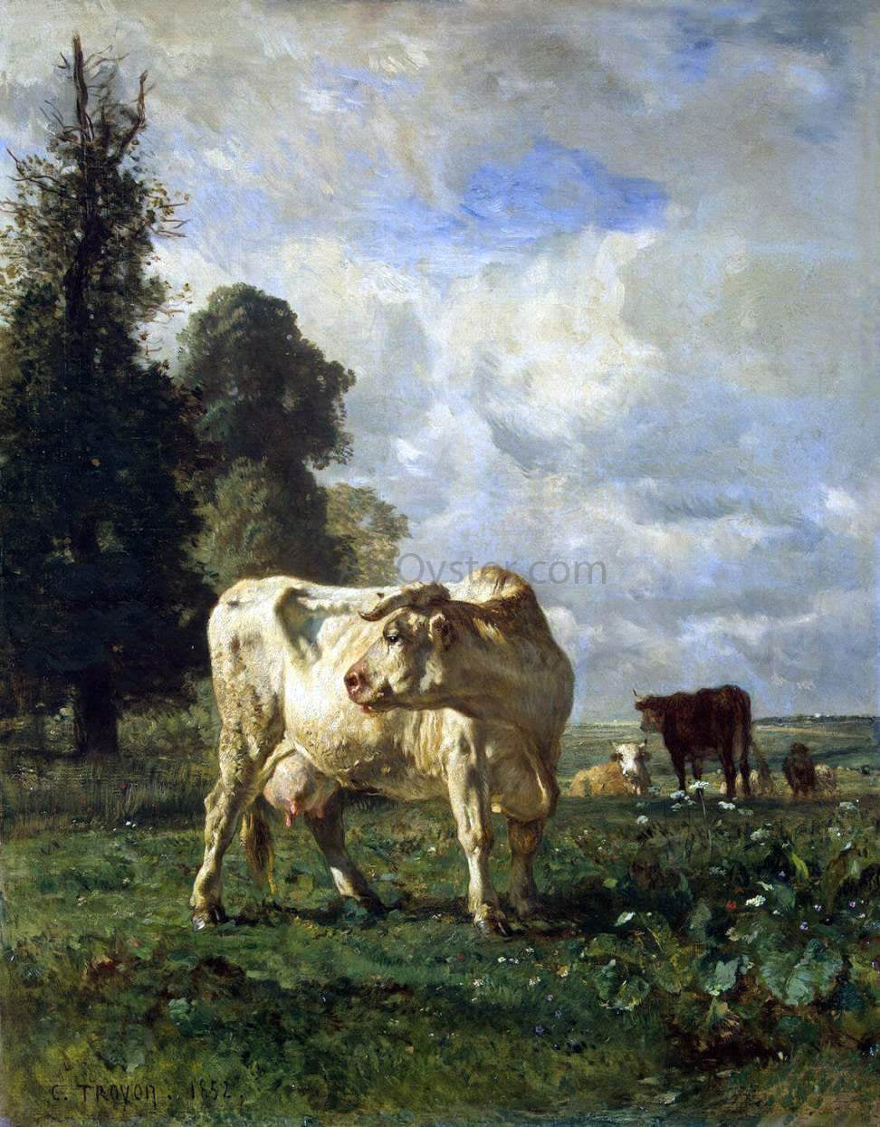 Constant Troyon Cows in the Field - Canvas Print