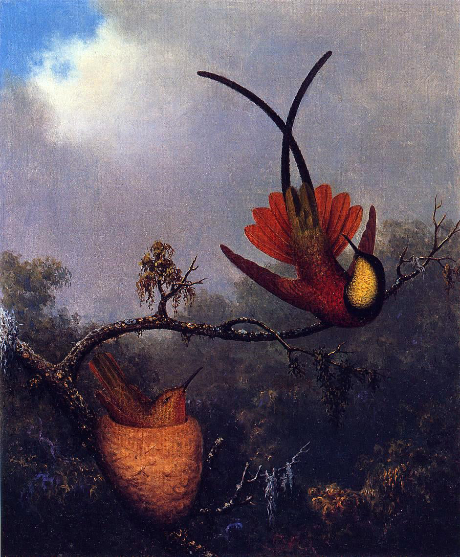 Martin Johnson Heade Crimson Topaz - Canvas Print