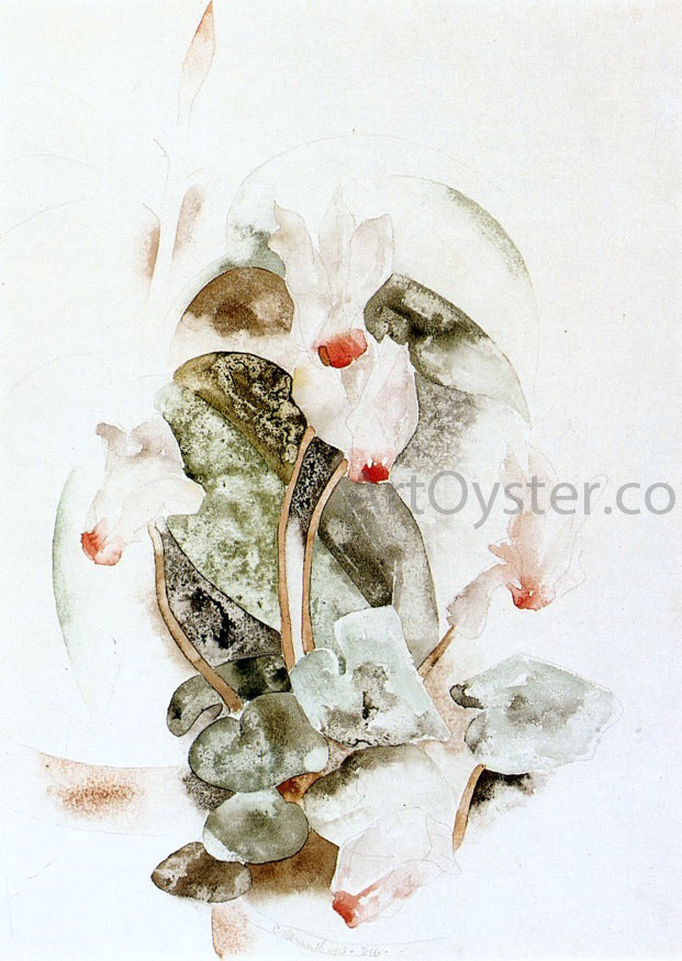 Charles Demuth Cyclamen - Canvas Print