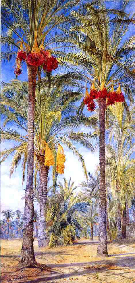 Henry Roderick Newman Date Trees, Ramleh, Egypt - Canvas Print