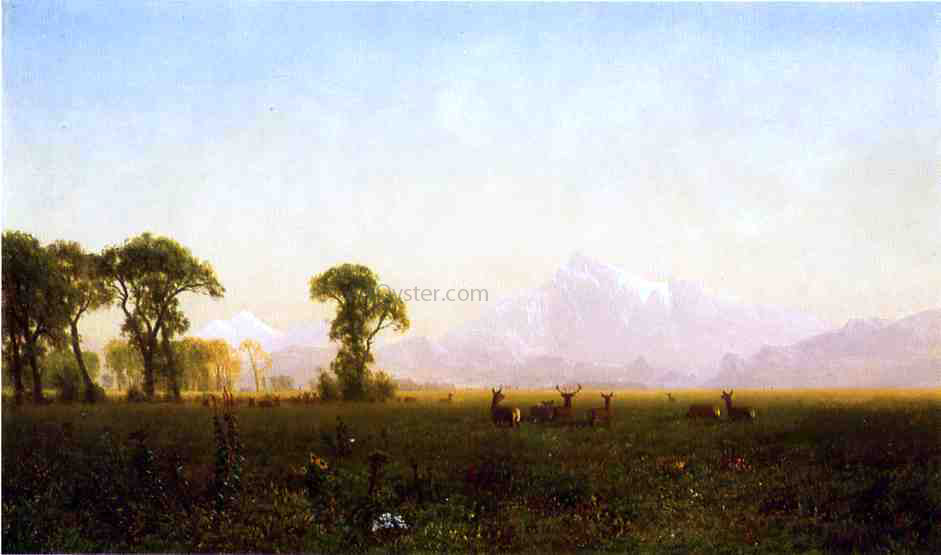 Albert Bierstadt Deer Grazing, Grand Tetons, Wyoming - Canvas Print