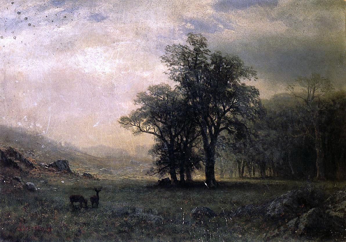 Albert Bierstadt Deer in a Landscape - Canvas Print