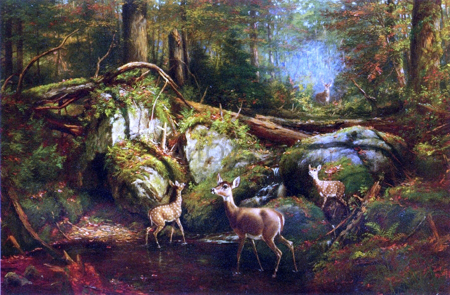 Arthur Fitzwilliam Tait Deer in the Adirondacks - Canvas Print