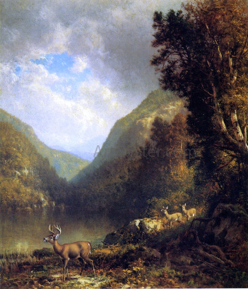 William M Hart Deer in the Adirondacks - Canvas Print