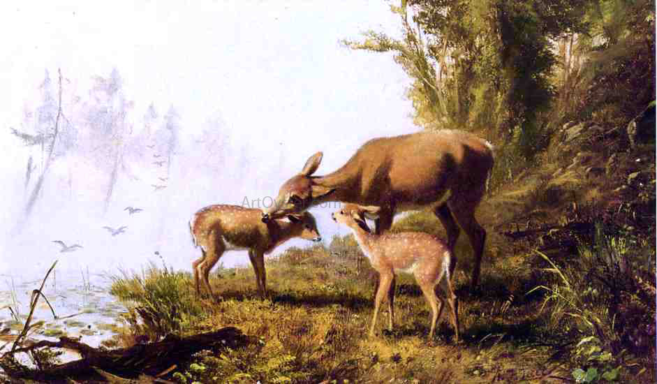 Arthur Fitzwilliam Tait Deer in the Woods - Canvas Print