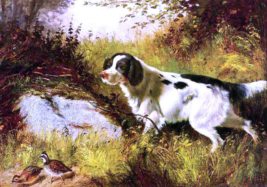 Arthur Fitzwilliam Tait Dog and Quail - Canvas Print
