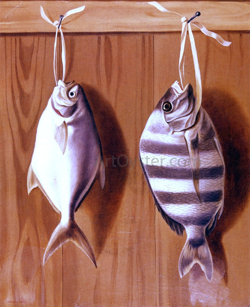 William Aiken Walker Dollar Fish and Sheephead - Canvas Print