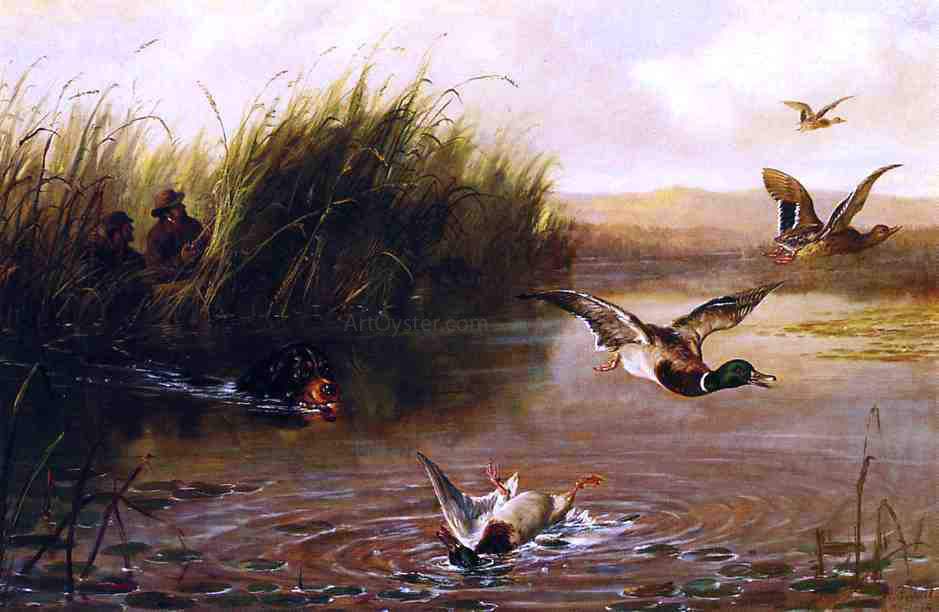 Arthur Fitzwilliam Tait The Duck Shooting - Canvas Print