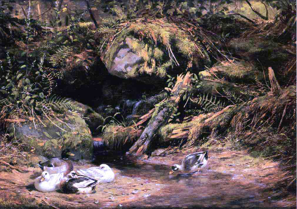 Arthur Fitzwilliam Tait Ducks at the Spring Head - Canvas Print