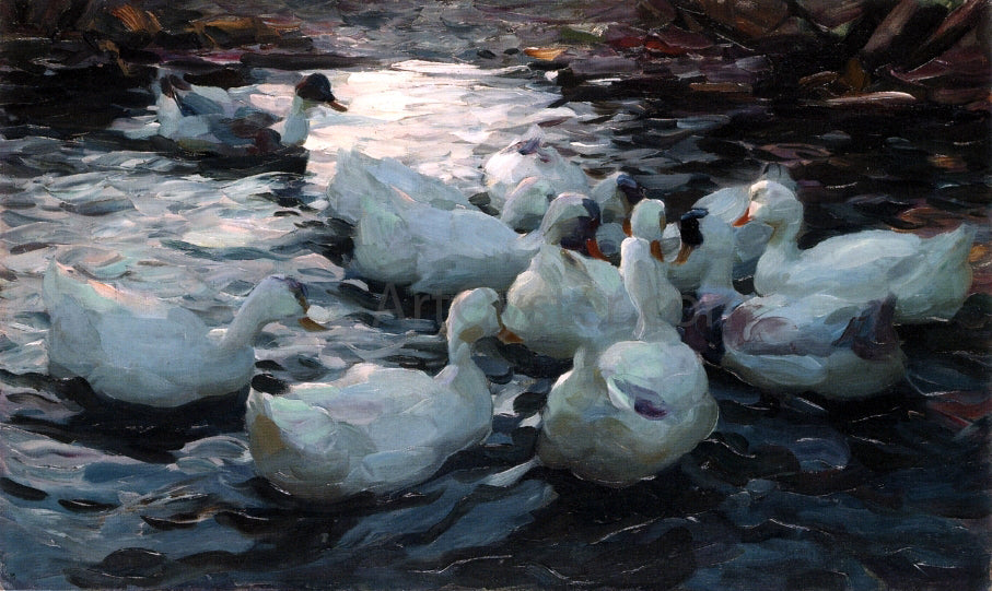 Alexander Koester Ducks Feeding - Canvas Print