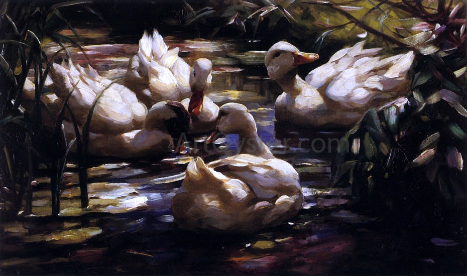 Alexander Koester Ducks in a Forest Pond - Canvas Print