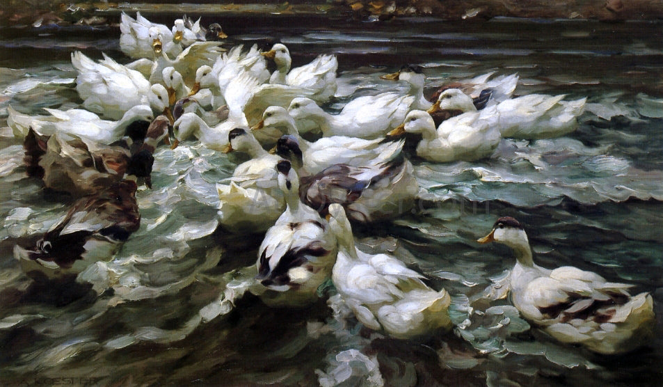 Alexander Koester Ducks in a Pond - Canvas Print