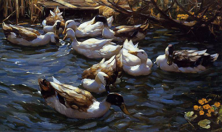 Alexander Koester Ducks in the Reeds under the Boughs - Canvas Print