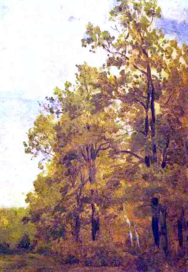 Isaac Ilich Levitan Edge of a Forest Study - Canvas Print