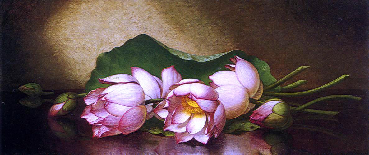Martin Johnson Heade Egyptian Lotus Blossom - Canvas Print