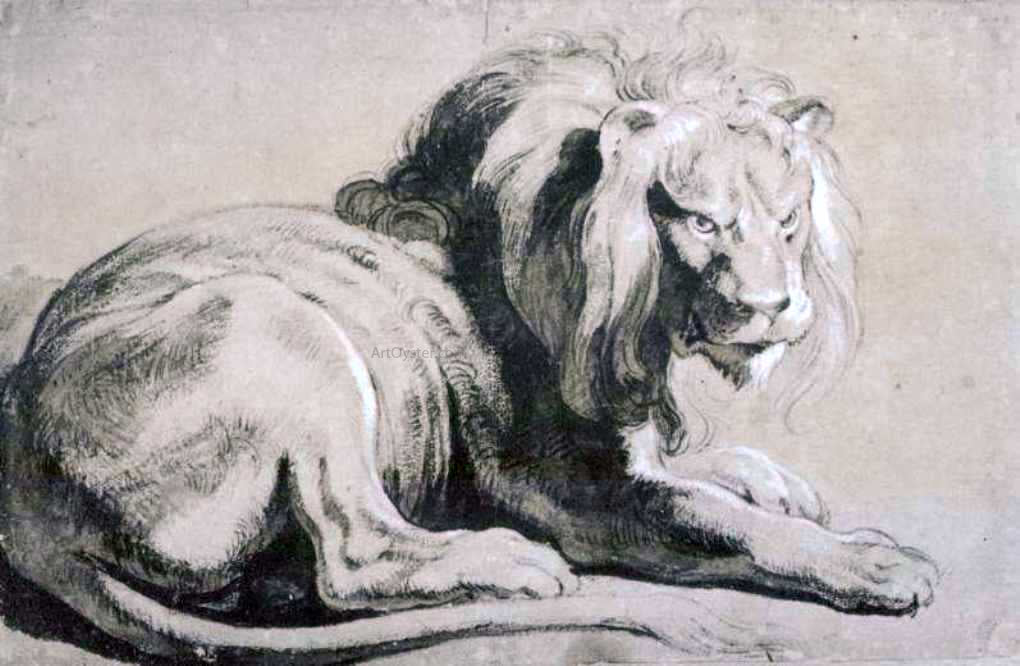 Peter Paul Rubens The Etude of Lion - Canvas Print