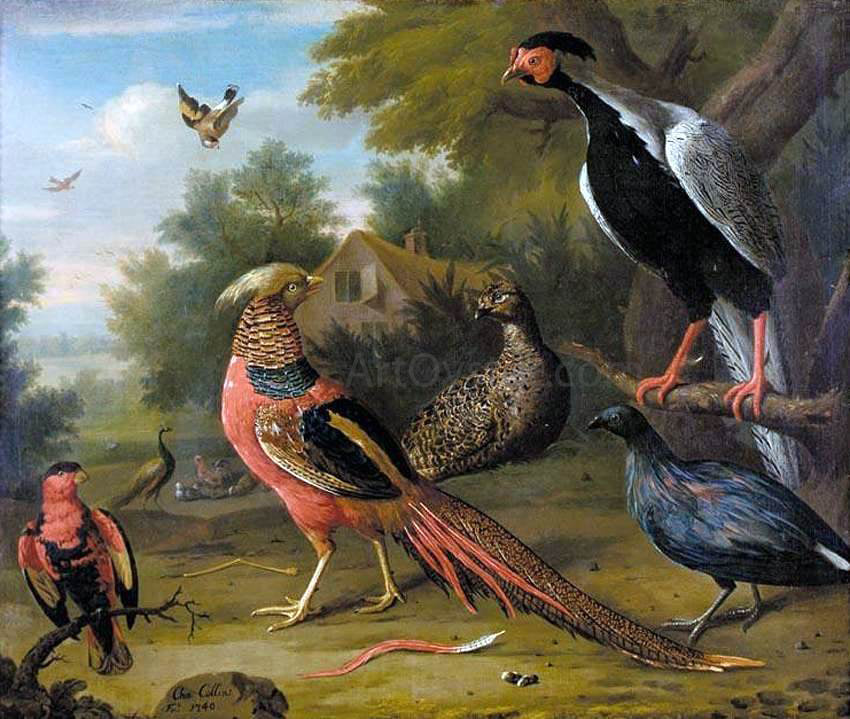 Charles Collins Exotic Pheasants and Other Birds - Canvas Print