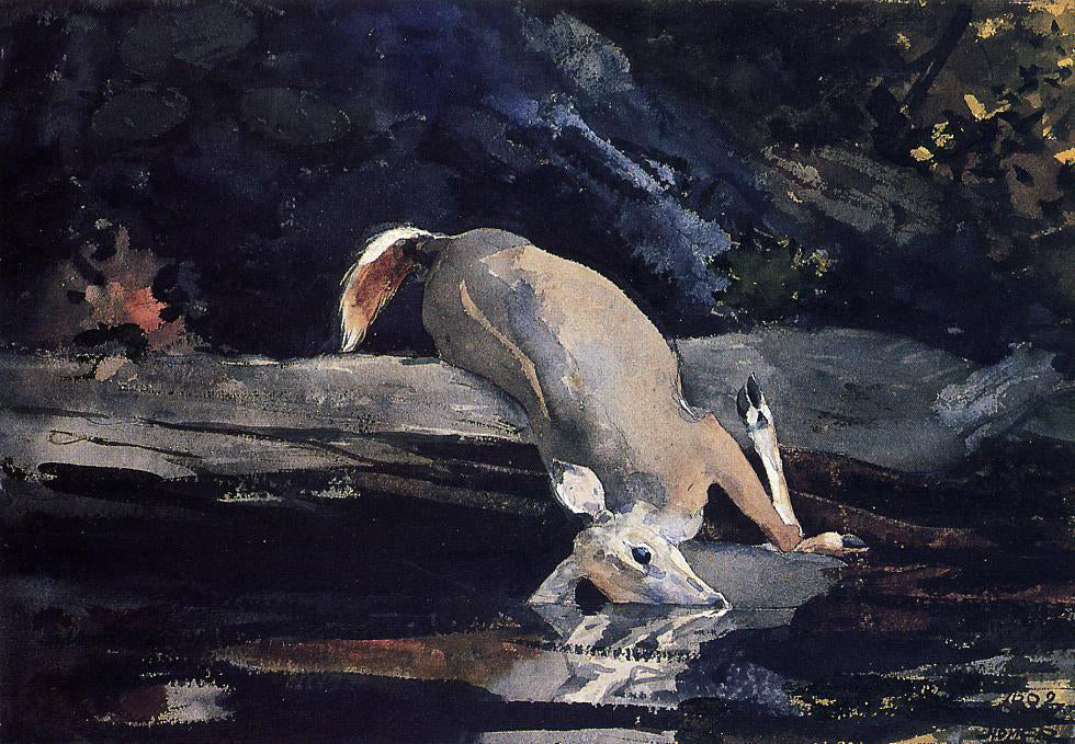 Winslow Homer Fallen Deer - Canvas Print
