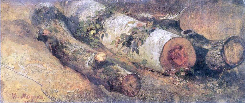 Ivan Ivanovich Shishkin Felled Birchs (etude) - Canvas Print