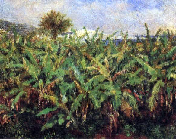 Pierre Auguste Renoir Field of Banana Trees - Canvas Print