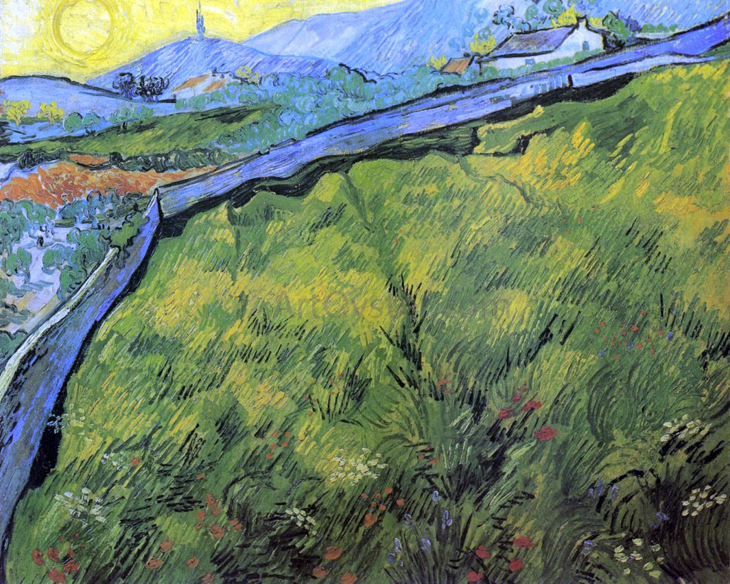 Vincent Van Gogh Field of Spring Wheat at Sunrise - Canvas Print
