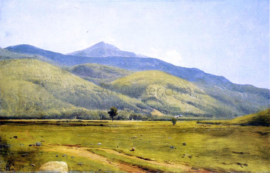 William M Hart Fields in Summer - Canvas Print
