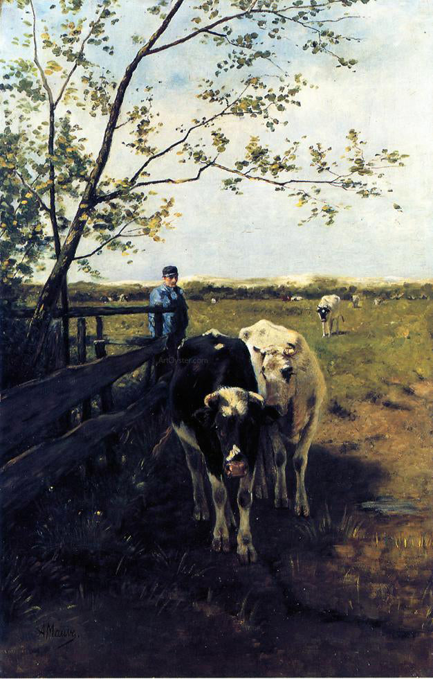 Anton Mauve Finished Grazing - Canvas Print