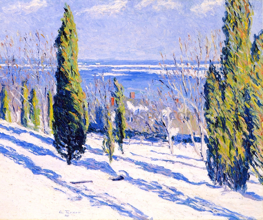 Allen Tucker Fir Tree Shadows on a Snowy Bank - Canvas Print