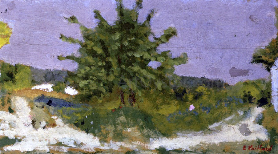 Edouard Vuillard First Fruit - Canvas Print