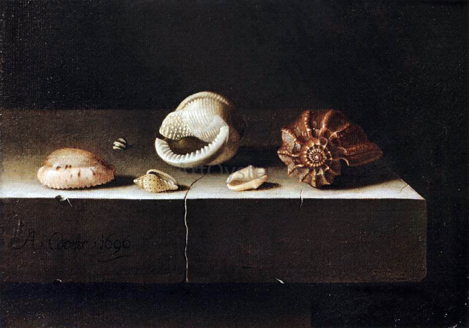 Adriaen Coorte Five Shells on a Slab of Stone - Canvas Print