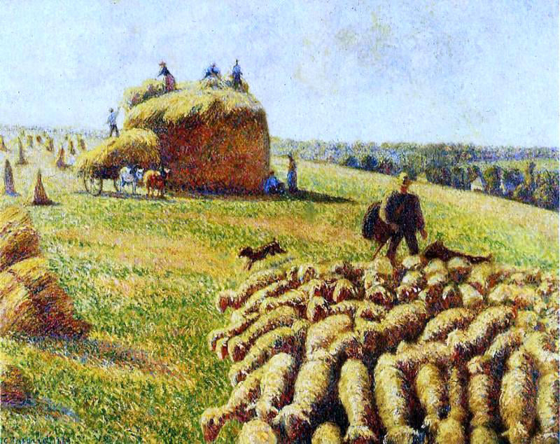 Camille Pissarro Flock of Sheep in a Field After the Harvest - Canvas Print