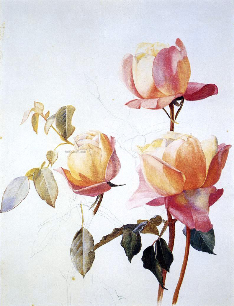 Henry Roderick Newman Florentine Roses - Canvas Print