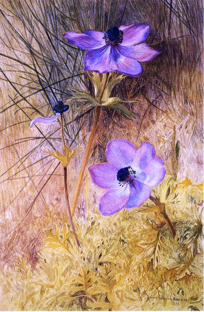 Henry Roderick Newman Florentine Wild Anemones - Canvas Print