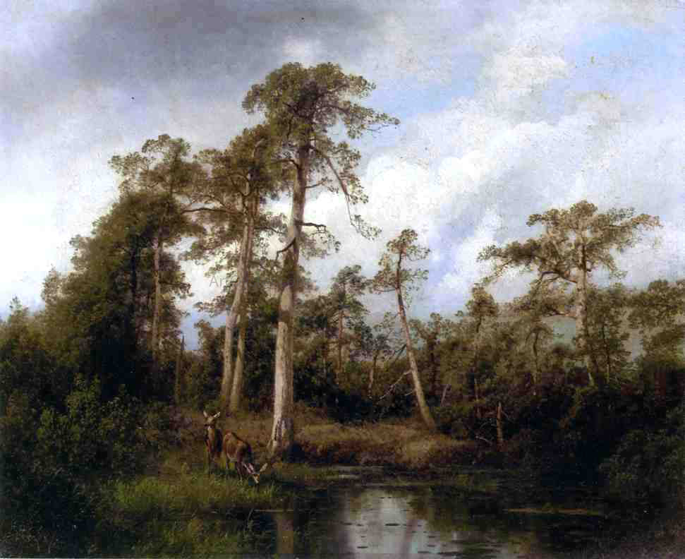 Herman Herzog Florida Live Oaks with Deer - Canvas Print
