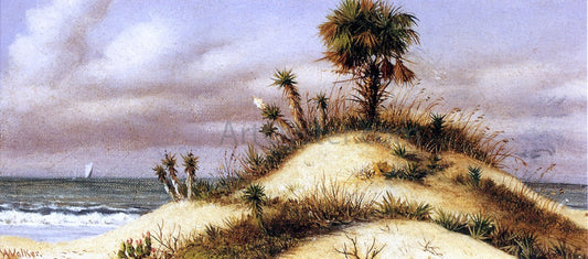 William Aiken Walker Florida Seascape with Sand Dune, Palm Tree, Yucca, Cactus and Sailboat - Canvas Print