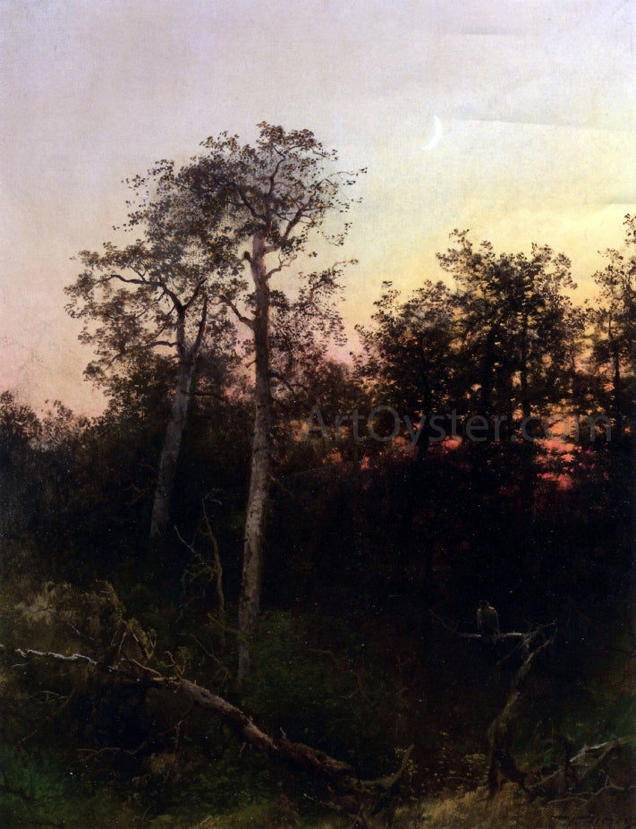 Herman Herzog Florida Sunset - Canvas Print